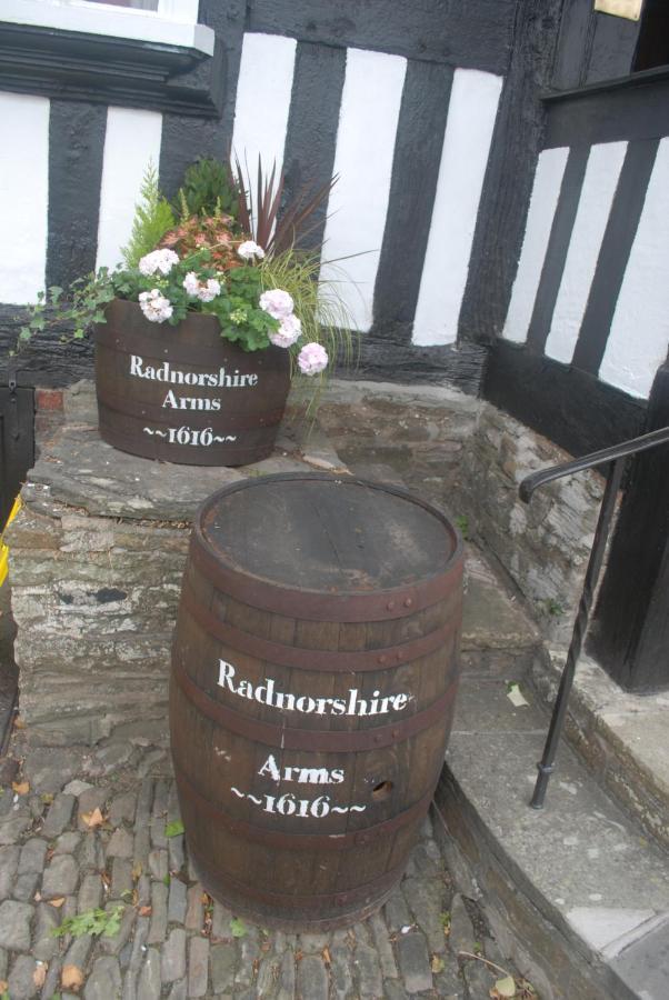 The Radnorshire Arms Hotel Presteigne Zewnętrze zdjęcie
